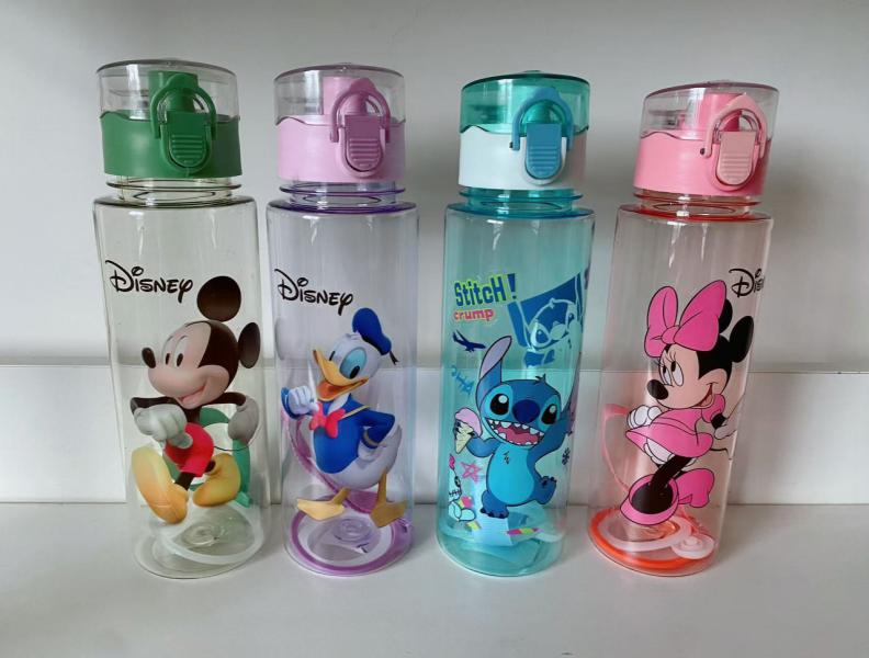 009817 Sticla apa 700ml