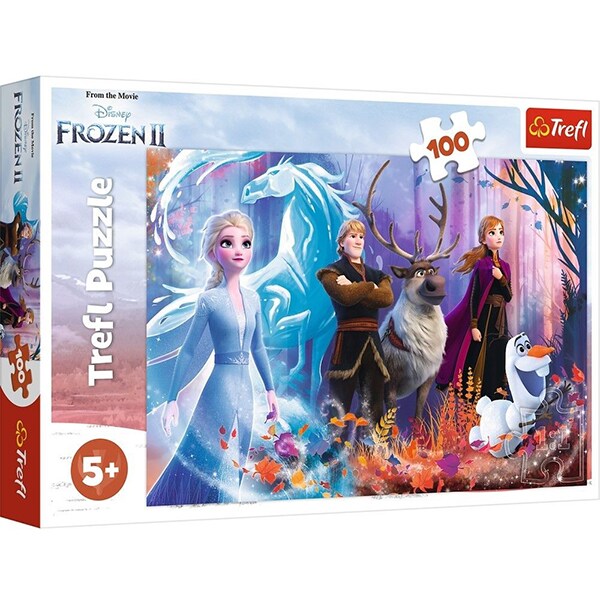 000801  Puzzle 100elem. "Frozen"