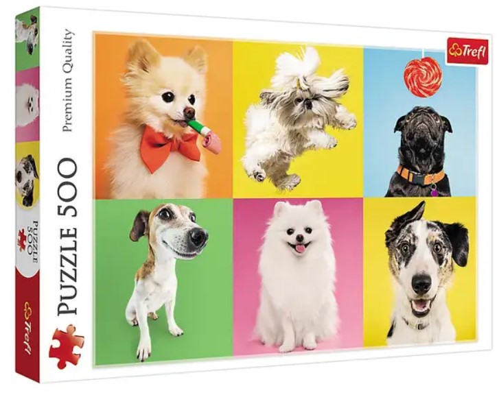 004710 Puzzle 500  "Ciinisorii"