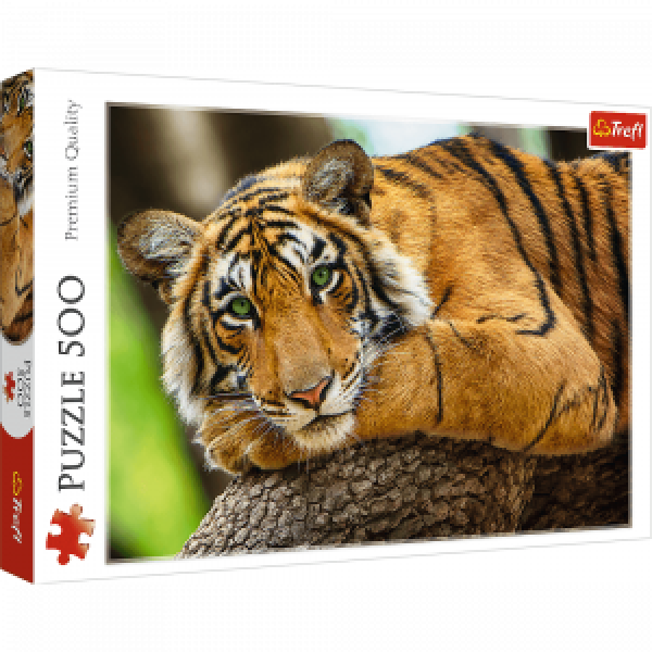 001806 Puzzle 500  "Tigru"