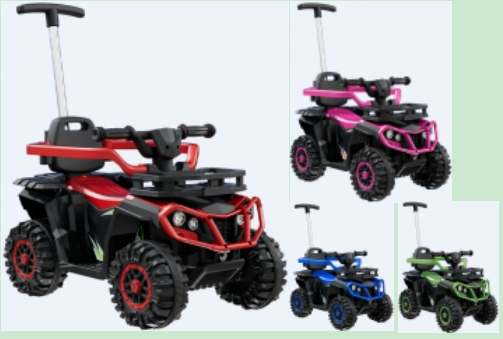 010027 Tolocar cu acumulator