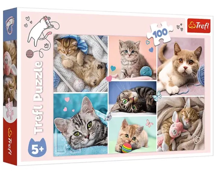 004701 Puzzle 100elem."In lumea pisicilor"(12K)