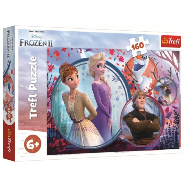 009313 Puzzle 160 "Sister adventure"