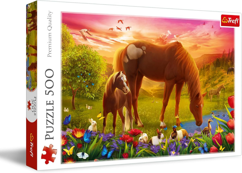 007884 Puzzle 500  "Cai"