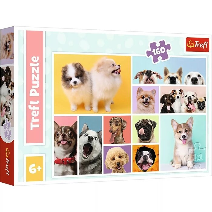 009312 Puzzle 160 "Dog friendship"