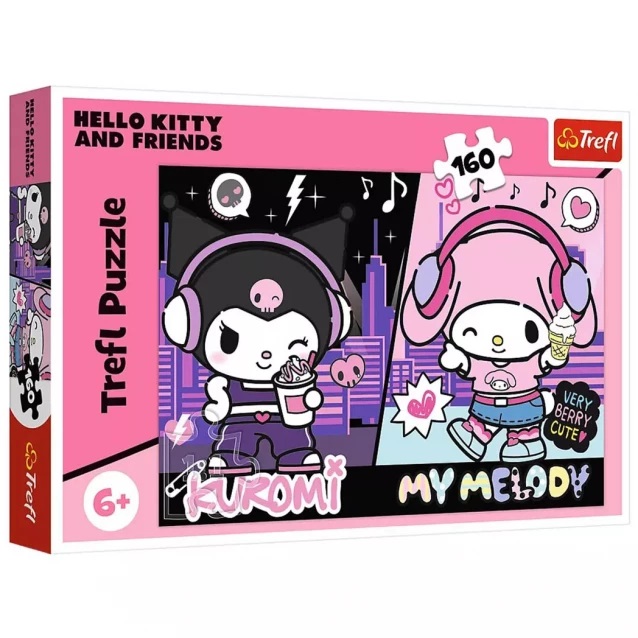 009310 Puzzle 160 "Kuromi rules"