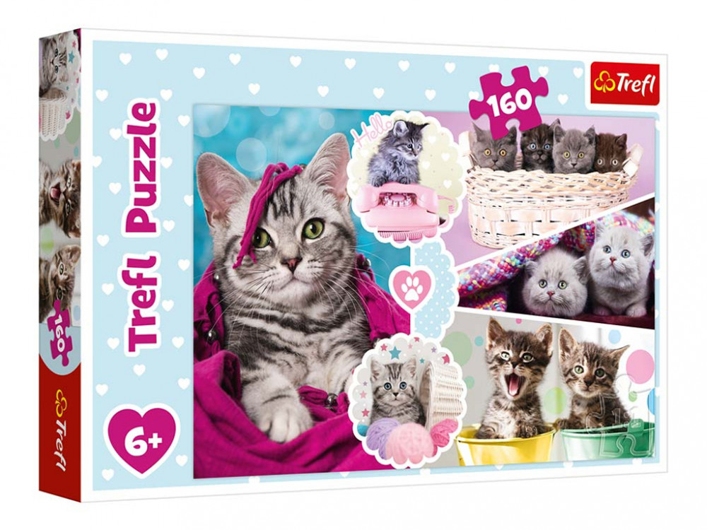 009311 Puzzle 160 "Lovely kittens"