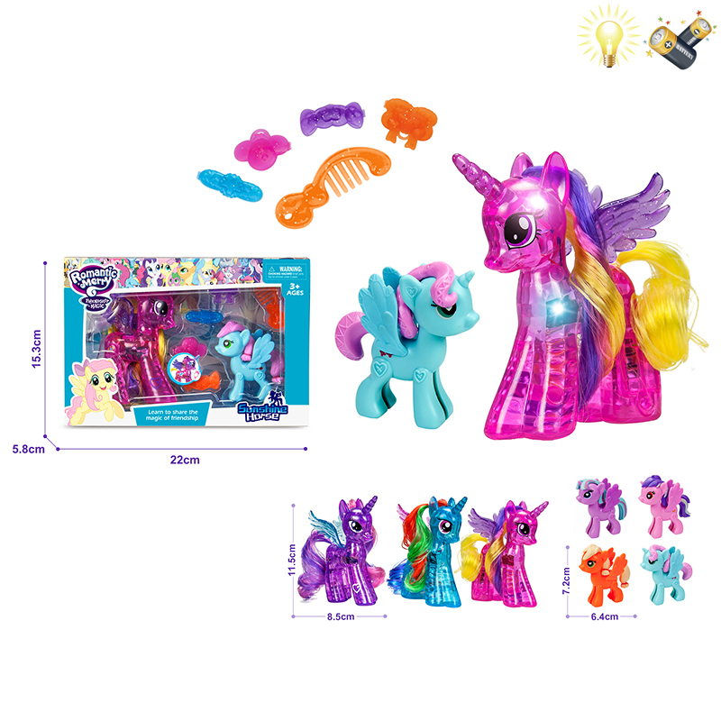 006558 Set ponei cu lumina