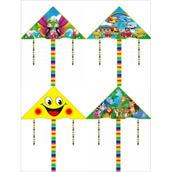 001962 Zmeu de vant (1.1m)