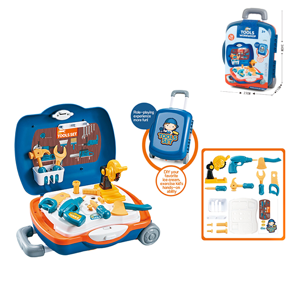 009899 Set instrumente in valiza