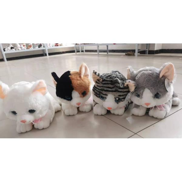 006495 Jucarie din plus - pisica 50cm