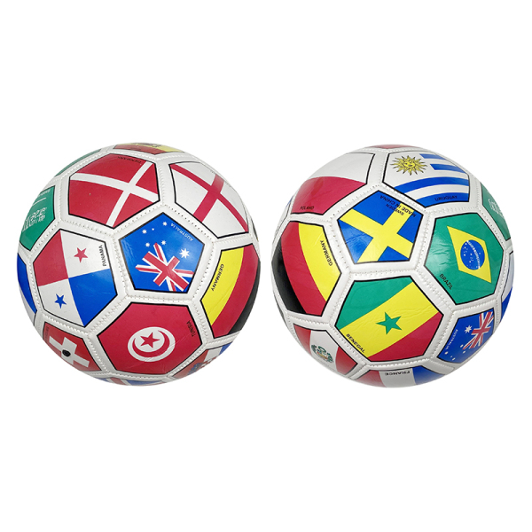 003693 Minge de fotbal