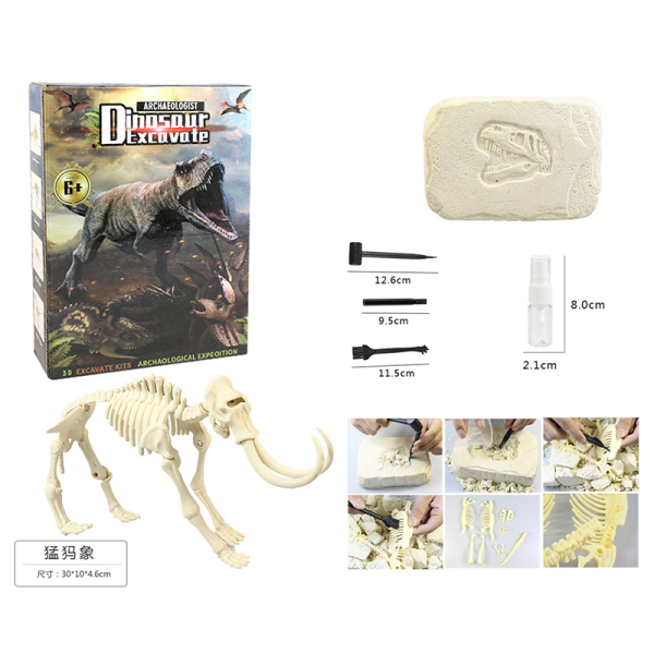 005097 Set arheologic