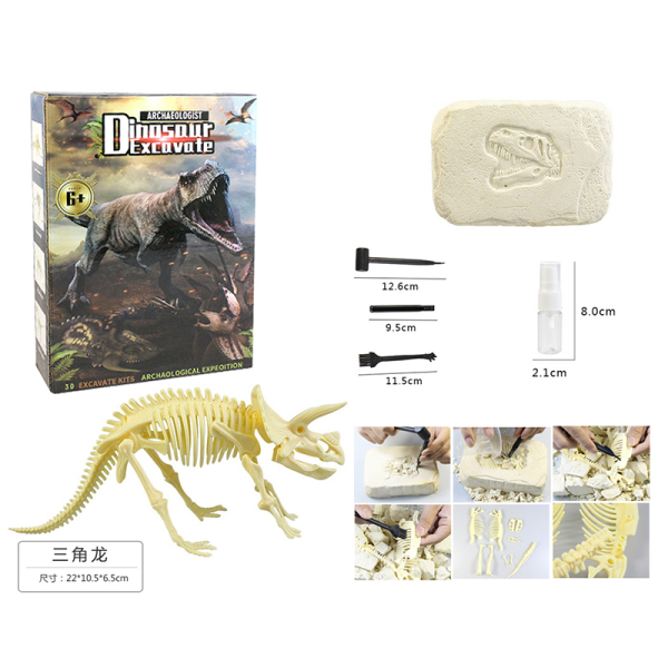 005098 Set arheologic Triceratops