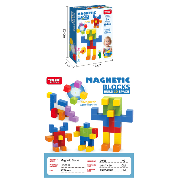 008437 Constructor magnetic 100pcs