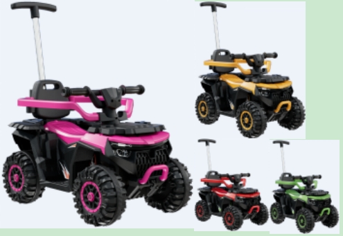 010028 Tolocar cu acumulator