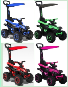 010029 Tolocar cu acumulator