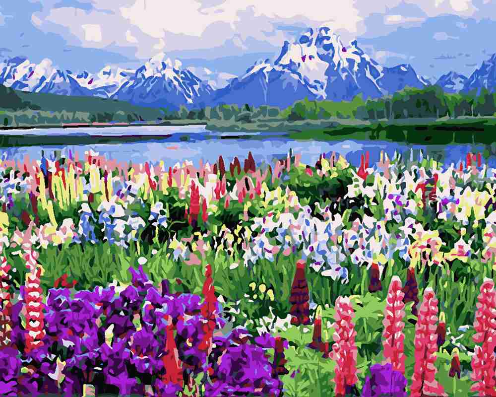 007736 Set de creatie - Pictura pe numere (in cutie) 50*65