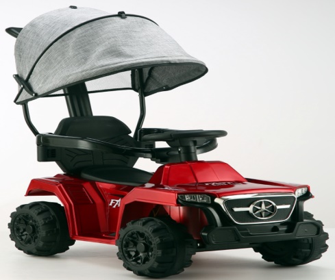 010023 Tolocar cu acumulator