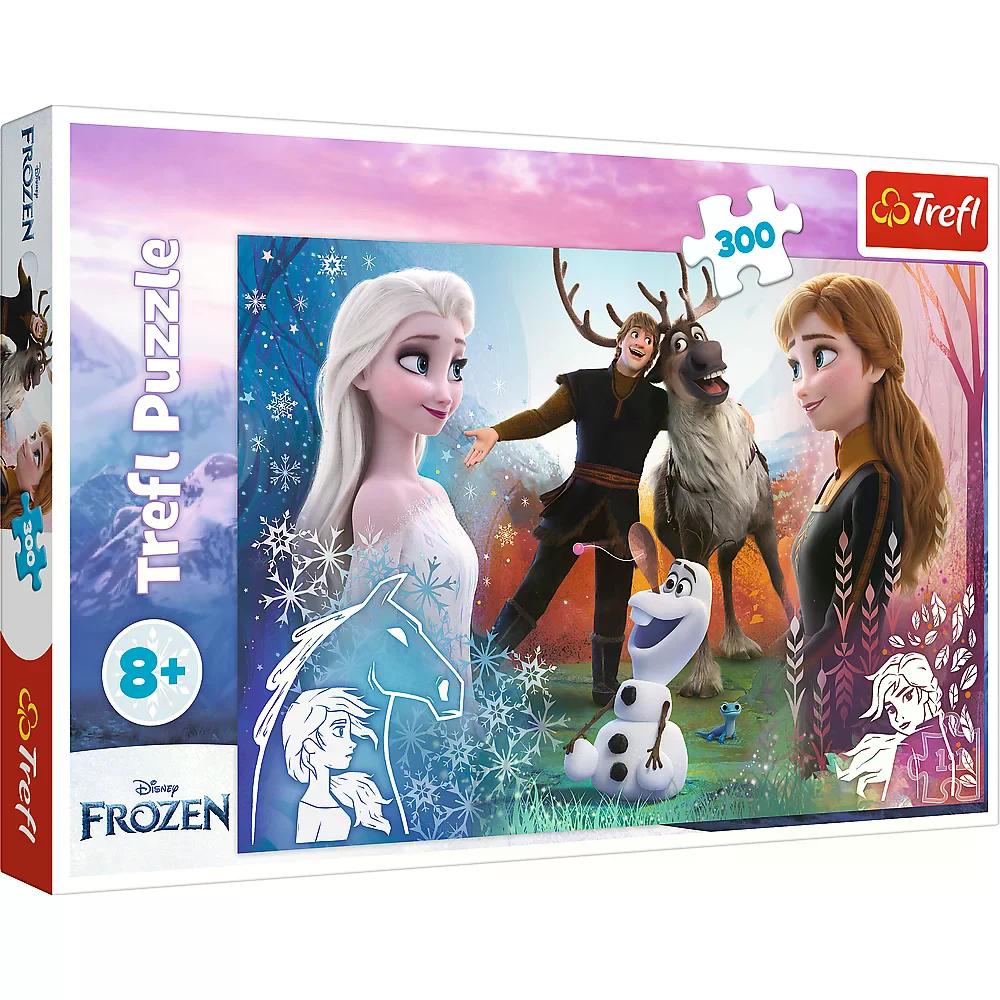 010958 Puzzle 300 "Frozen 2"