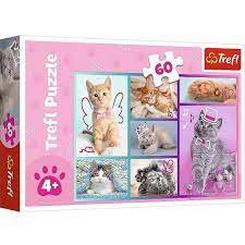 000797 Puzzle 60elem. "Pisicile dragute"