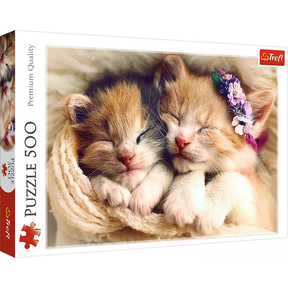 010914 Puzzle 500  "Motanasii dragalasi"