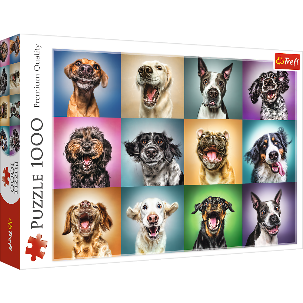 007759 Puzzle 1000 "Ciinisorii"
