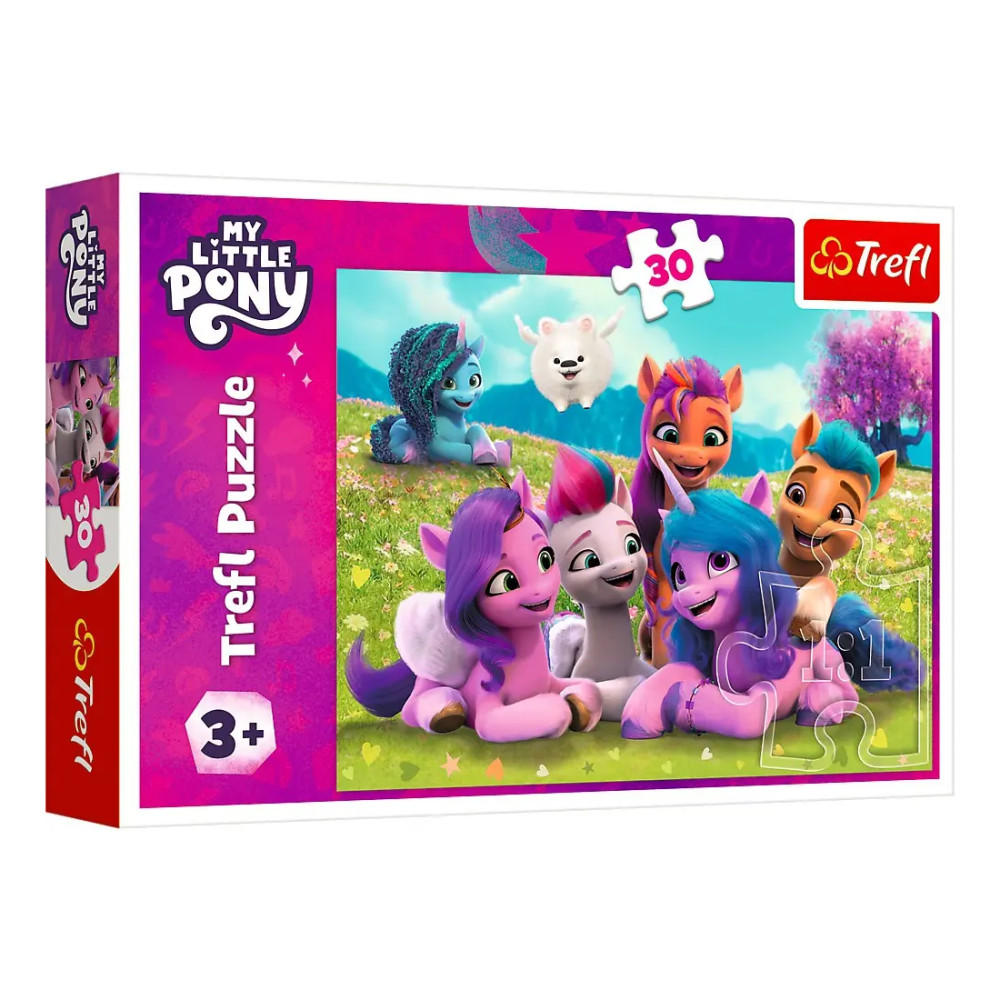 004691 Puzzle 30elem. "Ponei"