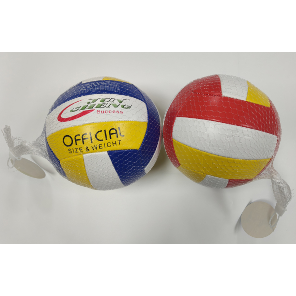 010702 Minge volei