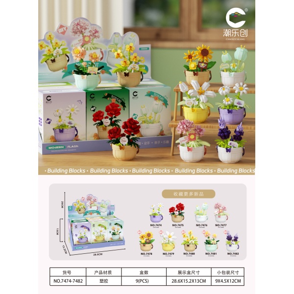 011577 Constructor Flori (set 9buc)