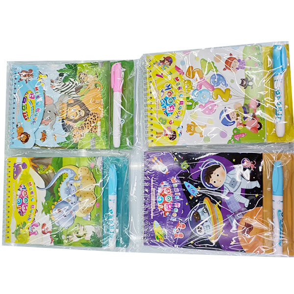 010715 Carnet cu pix